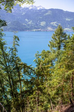 Göl brienz, İsviçre