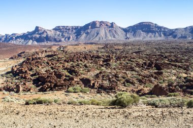 Lav alanı Tenerife, İspanya