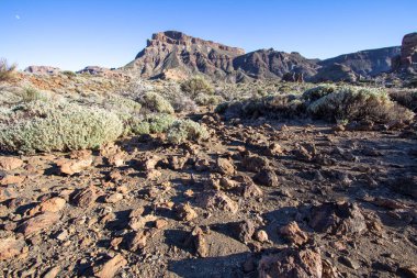 Teide Milli Parkı Tenerife