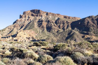 Teide Milli Parkı Tenerife, İspanya