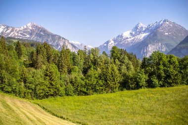 Alplerdeki cennet manzarası 