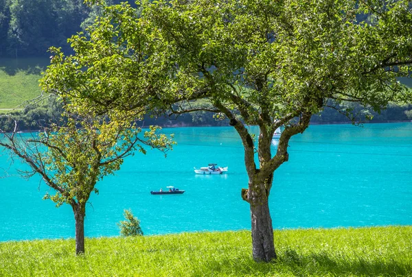 湖 Lungern、スイス — ストック写真