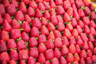 taze kırmızı çilek