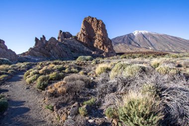 Teide Milli Parkı Tenerife