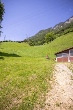 Alplerdeki cennet manzarası 