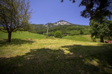 Alplerdeki cennet manzarası 