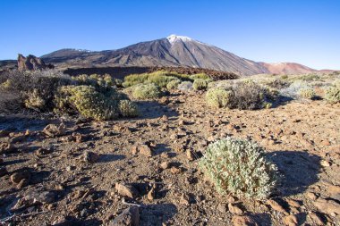 Teide Milli Parkı Tenerife