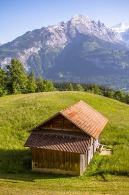 Alplerdeki cennet manzarası 