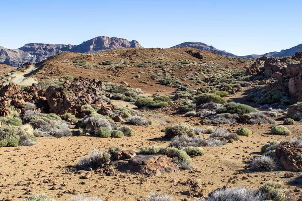 Lav alanı Tenerife, İspanya