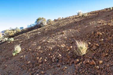 Lav alanı Tenerife, İspanya