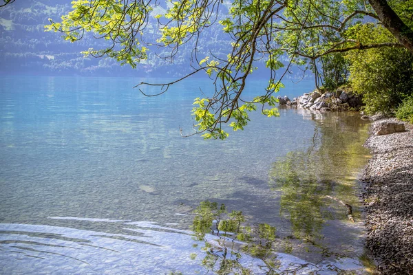 Brienzsjön, Schweiz — Stockfoto