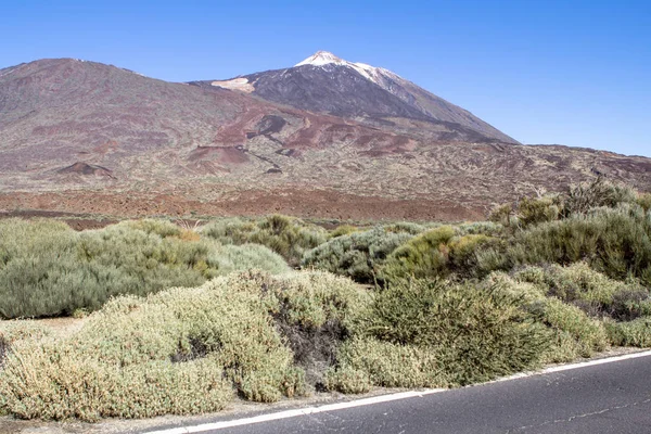 Parque Nacional del Teide en Tenerife — Foto de Stock