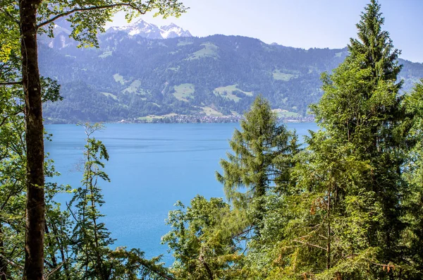 ブリエンツ湖, スイス — ストック写真