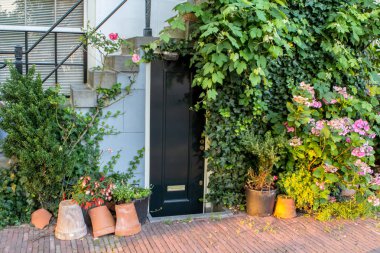 Amsterdam 'da geleneksel eski binalar