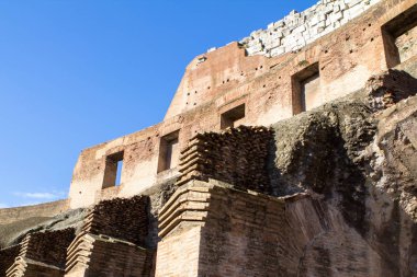 Kolezyum, Roma