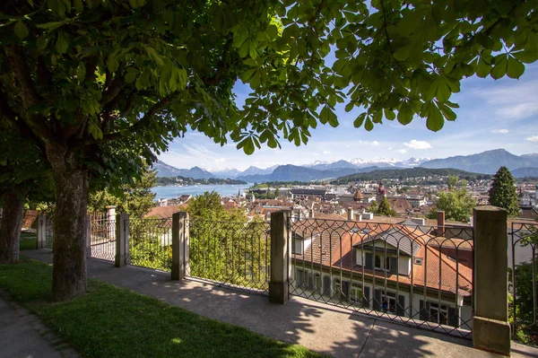 Luzern-sjön, Schweiz — Stockfoto