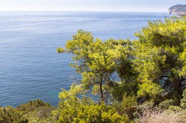 Yaz yatay, Sardunya Adası'yeşil çalılar