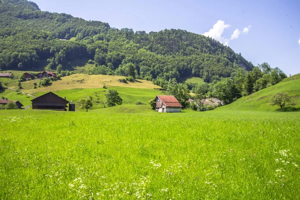 Idylliczny krajobraz w Alpach — Zdjęcie stockowe