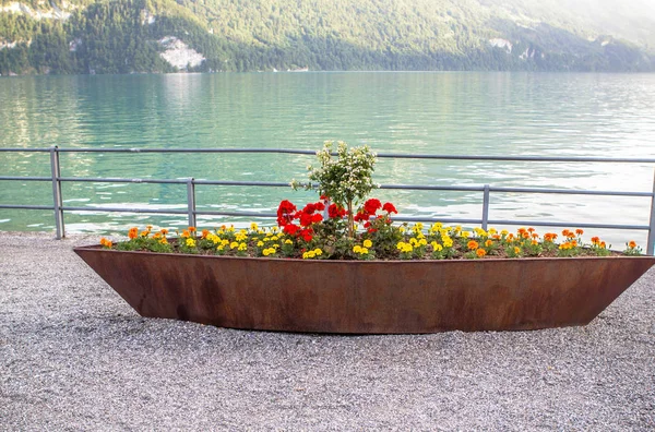 Λίμνη brienz, Ελβετία — Φωτογραφία Αρχείου