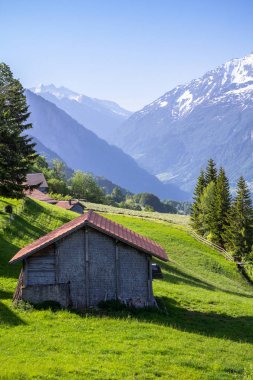 Alplerdeki cennet manzarası 