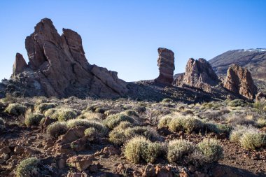 Teide Milli Parkı Tenerife