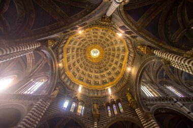 İç Siena Katedrali'nin Toskana, İtalya