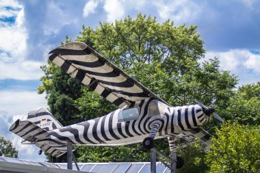 Safari uçak boyalı zebra 