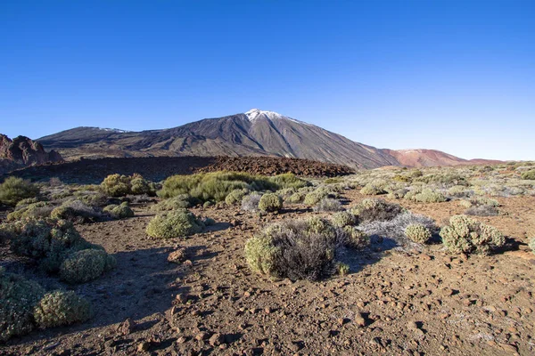 Teide Milli Parkı Tenerife