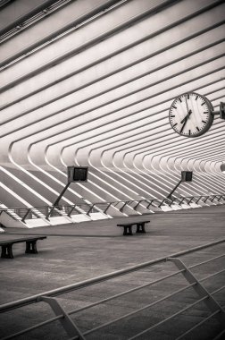 Guillemins station, Liege, Belgium