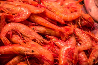 Barcelona içinde belgili tanımlık çarşı, taze deniz ürünleri