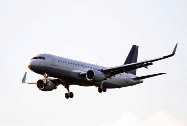 The airplane landing — Stock Photo, Image