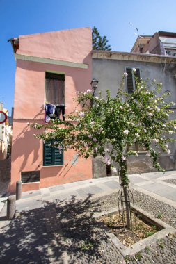 Bahçesinde ağaçlar ve pembe evde, Sassari, İtalya
