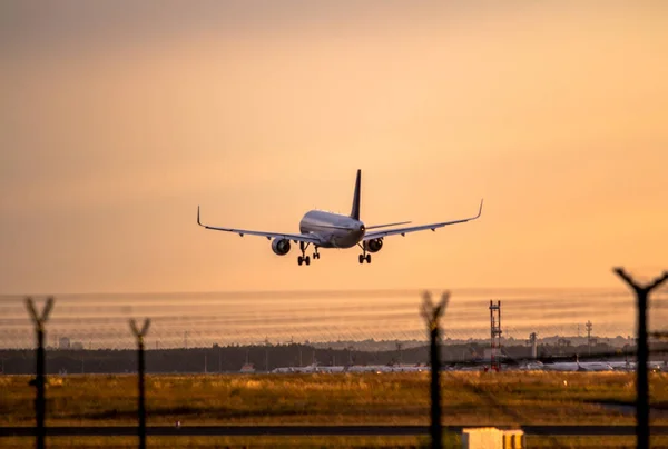 stock image Airplane landing at sunset