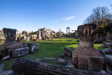 Roma Forumu, Roma