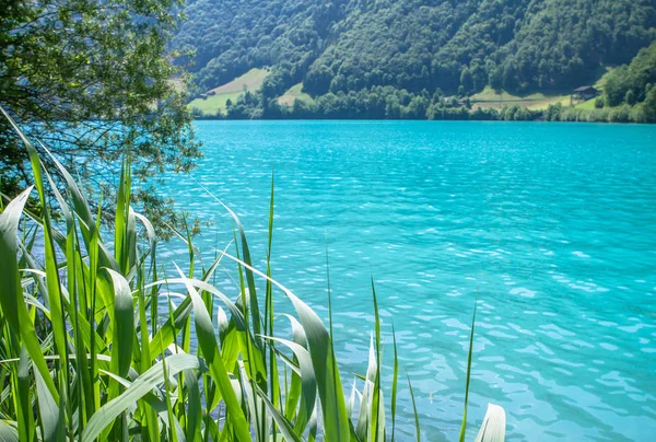 Озеро Lungern (Швейцарія) — стокове фото