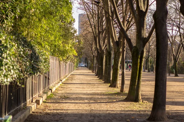 Alley in the park — Stock Photo, Image