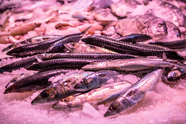 Frutos do mar frescos no mercado em Barcelona — Fotografia de Stock