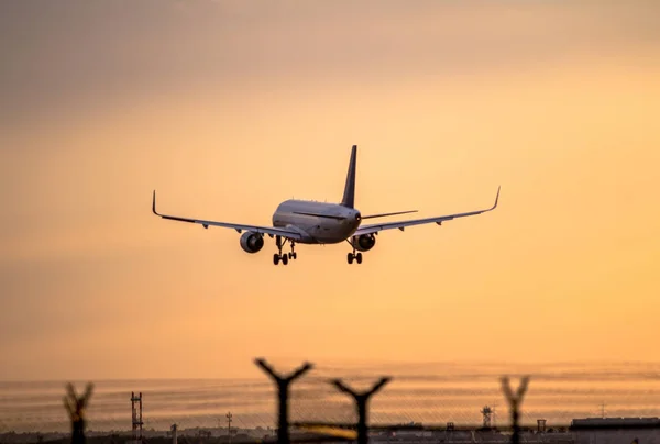 日没時の飛行機着陸 — ストック写真