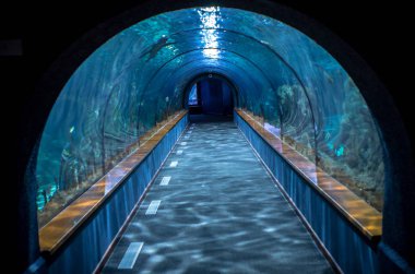 Uzun akvaryum tünel 