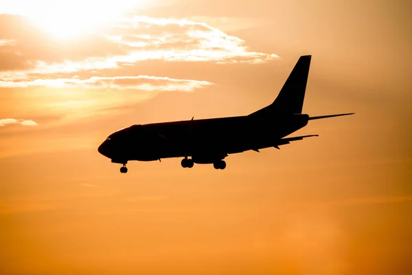 Airplane landing at sunset — Stock Photo, Image