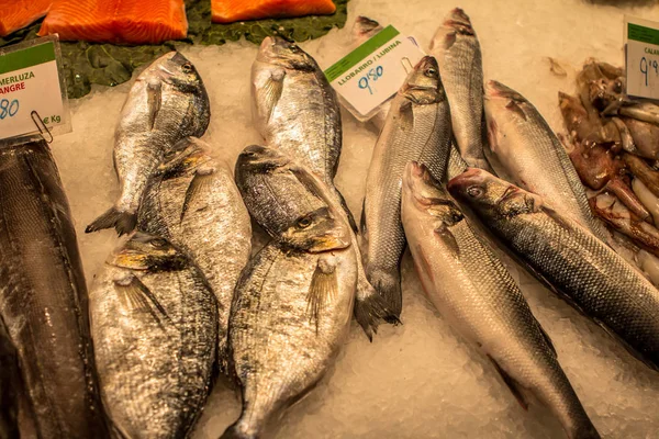 Barcelona içinde belgili tanımlık çarşı, taze deniz ürünleri