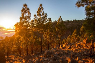 Bulutların üzerinde gün batımı