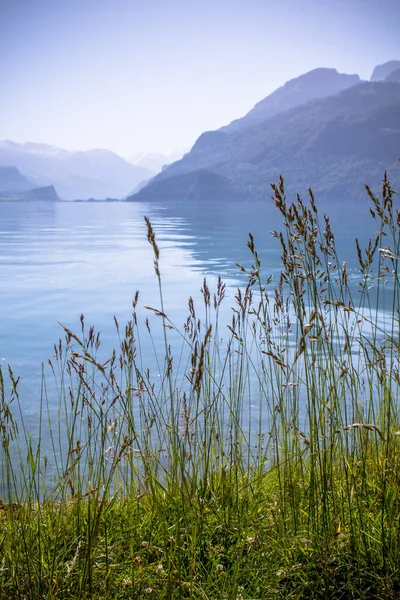 Göl brienz, İsviçre — Stok fotoğraf