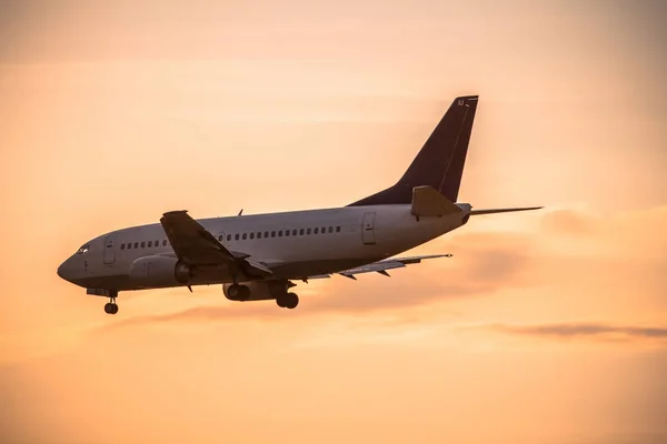 Airplane landing at sunset — Stock Photo, Image