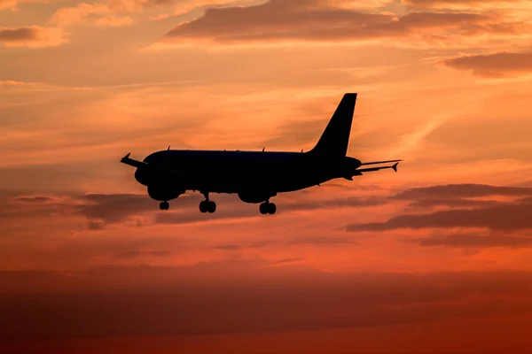 Airplane landing at sunset — Stock Photo, Image