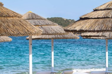 Sahilde saman şemsiyeleri