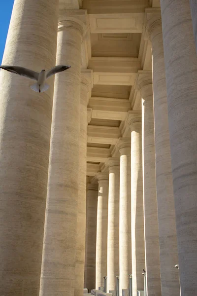 Säulen auf dem Petersplatz, vatikanische Stadt, Italien — Stockfoto