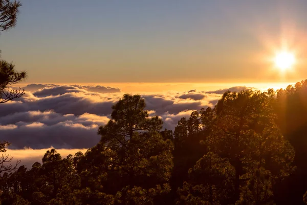 Puesta de sol vista desde el bosque sobre las nubes — Foto de Stock