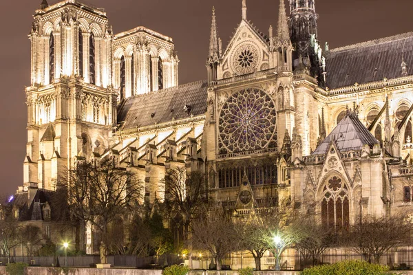 Kathedrale Notre Dame, Paris, Frankreich — Stockfoto