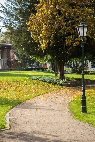 The autumn leaves — Stock Photo, Image